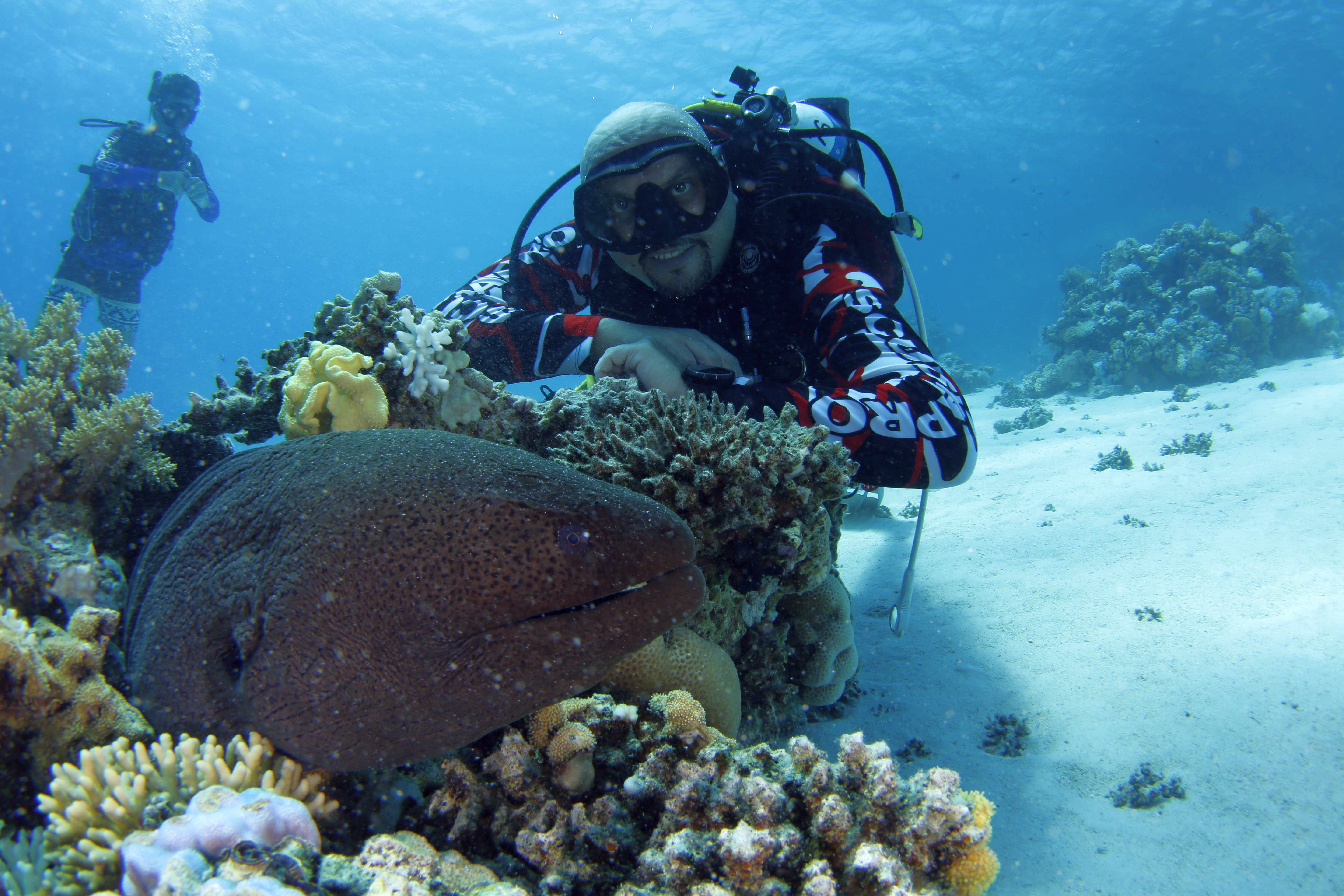 Diving photo 4