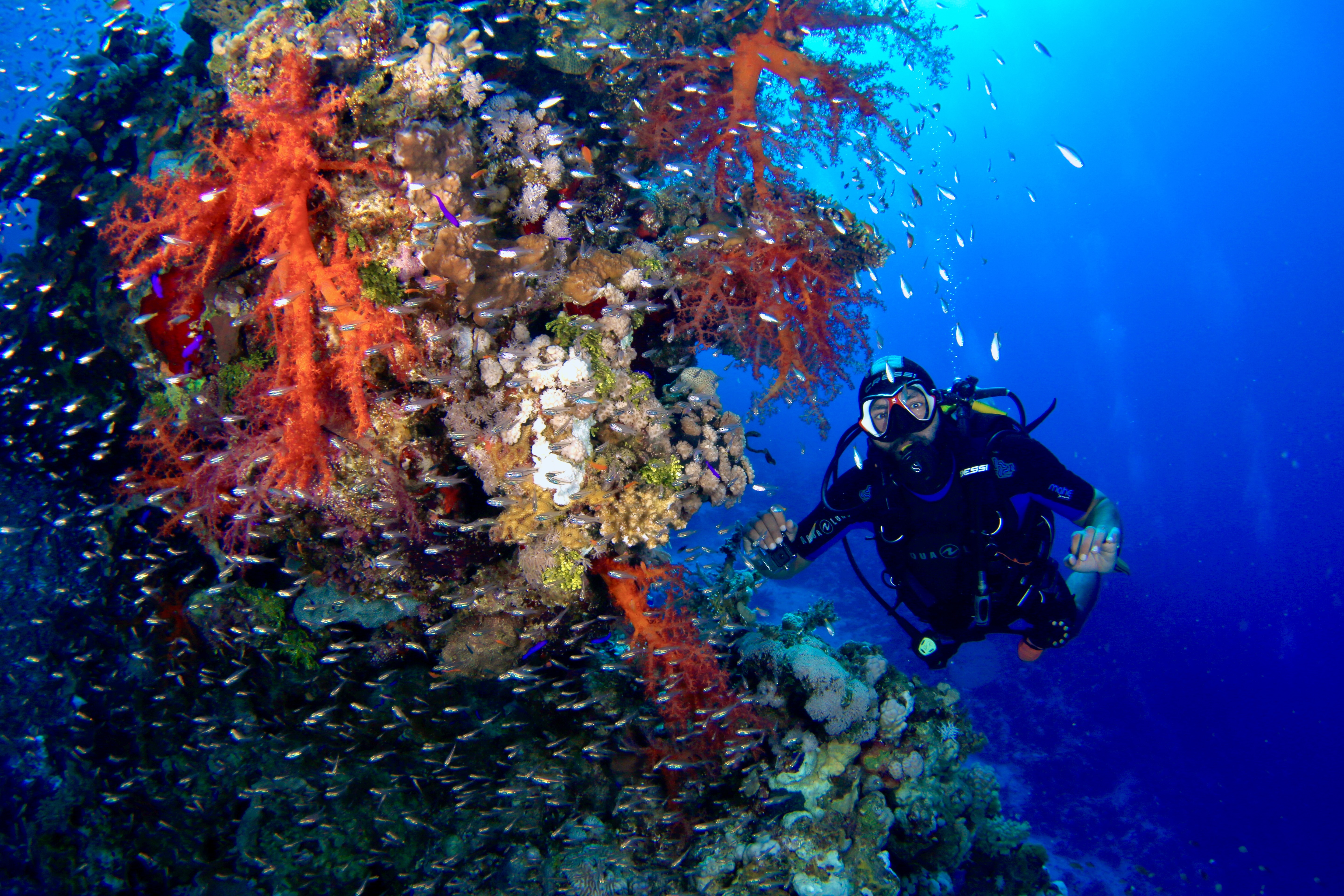 Diving photo 3