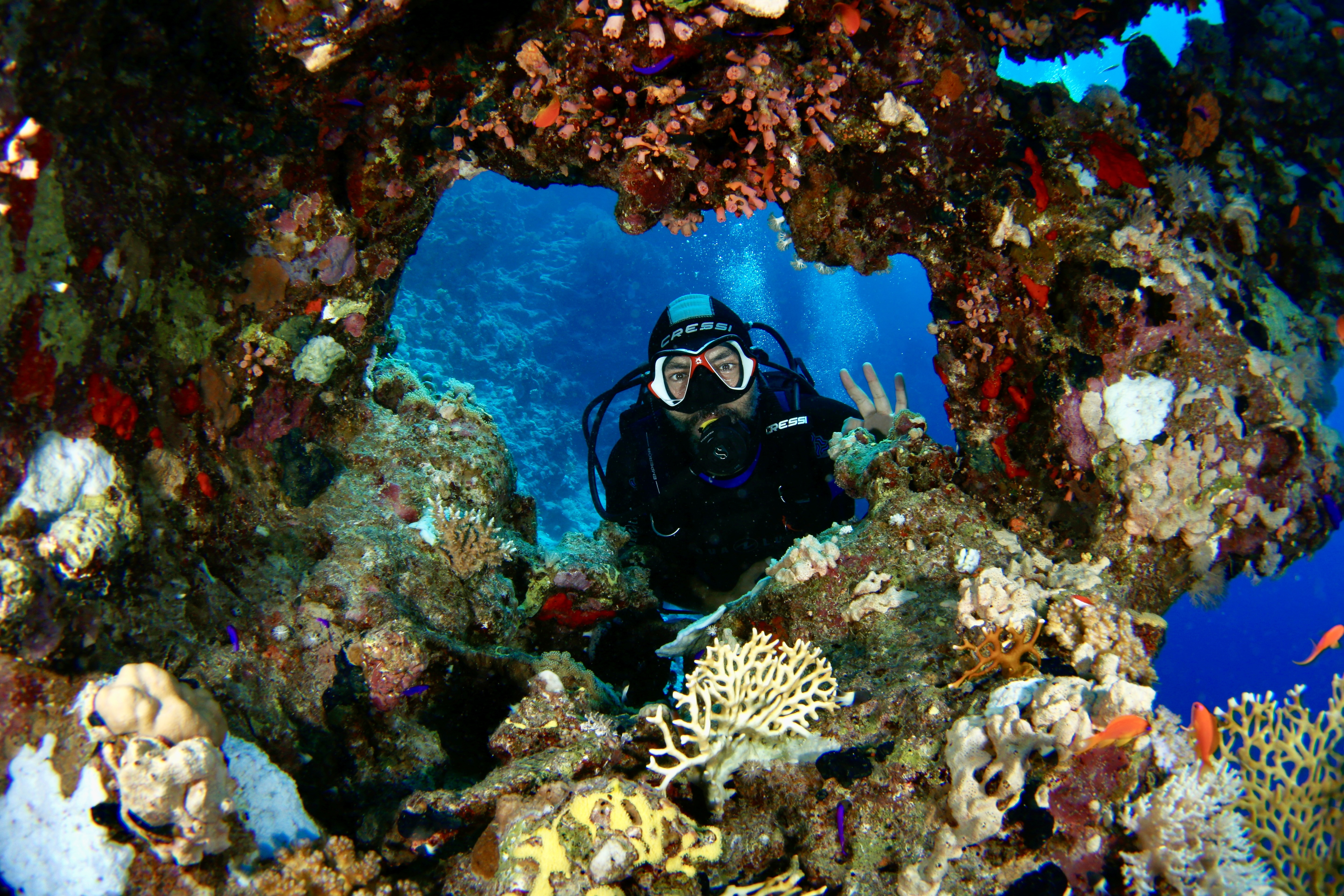 Open Water Diver